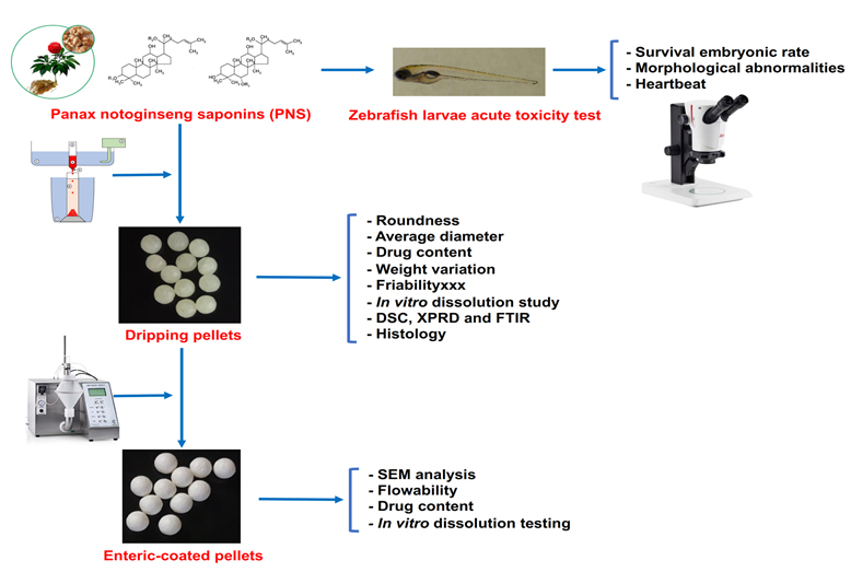 Graphical Abstract