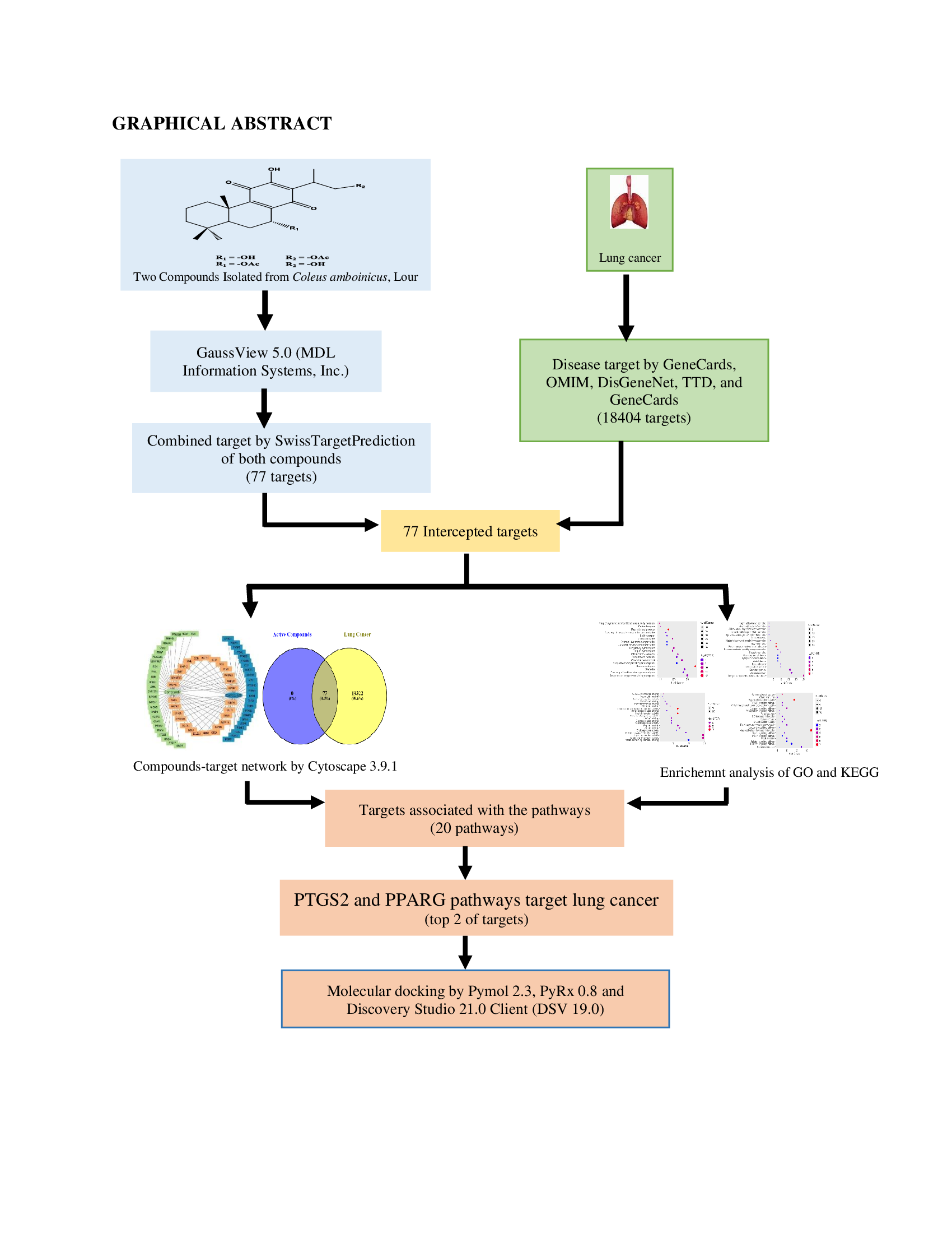 Graphical Abstract