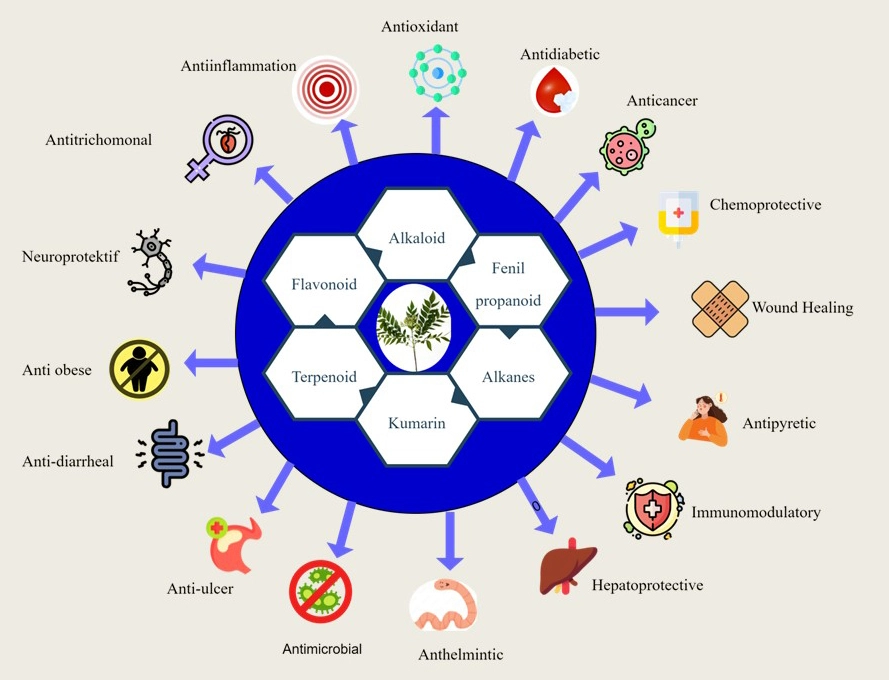 Graphical Abstract