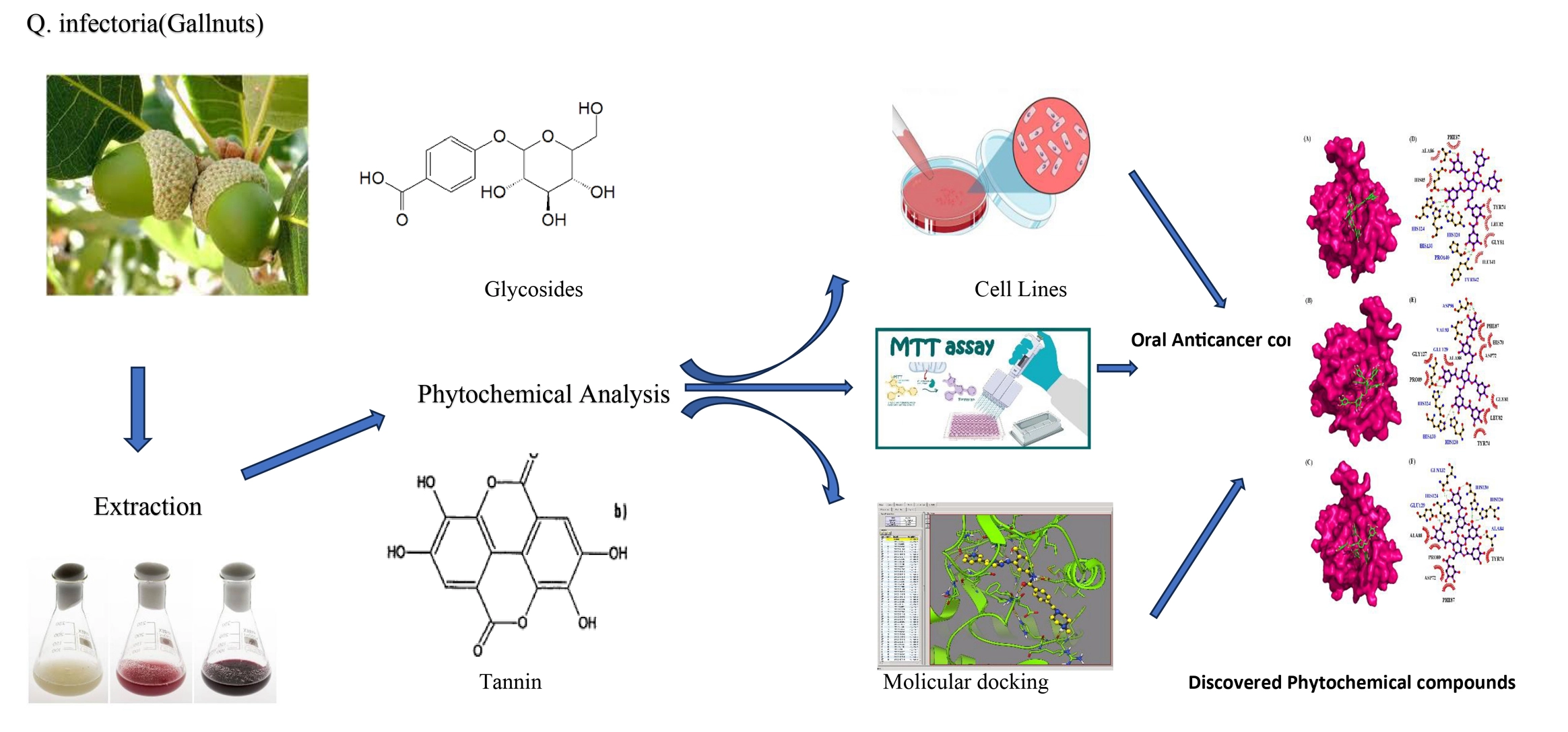 Graphical Abstract