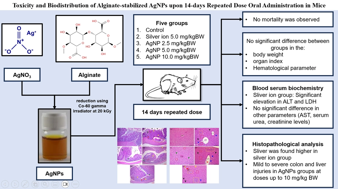 Graphical Abstract