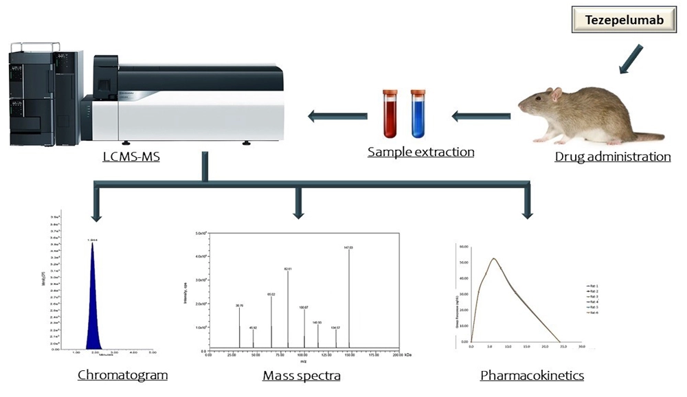 Graphical Abstract