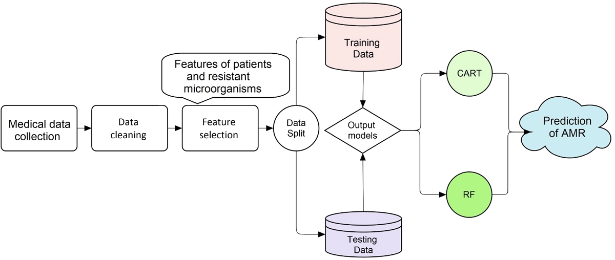 Graphical Abstract