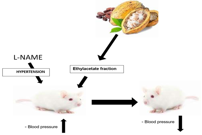 Graphical Abstract