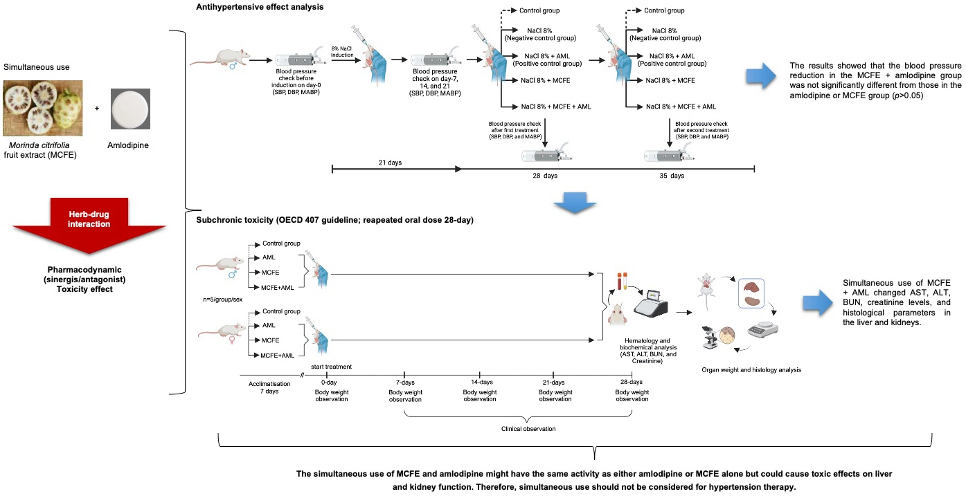 Graphical Abstract
