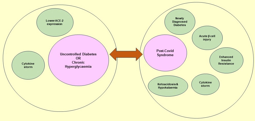 Graphical Abstract