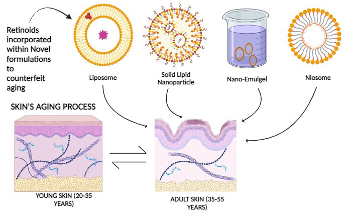 Graphical Abstract