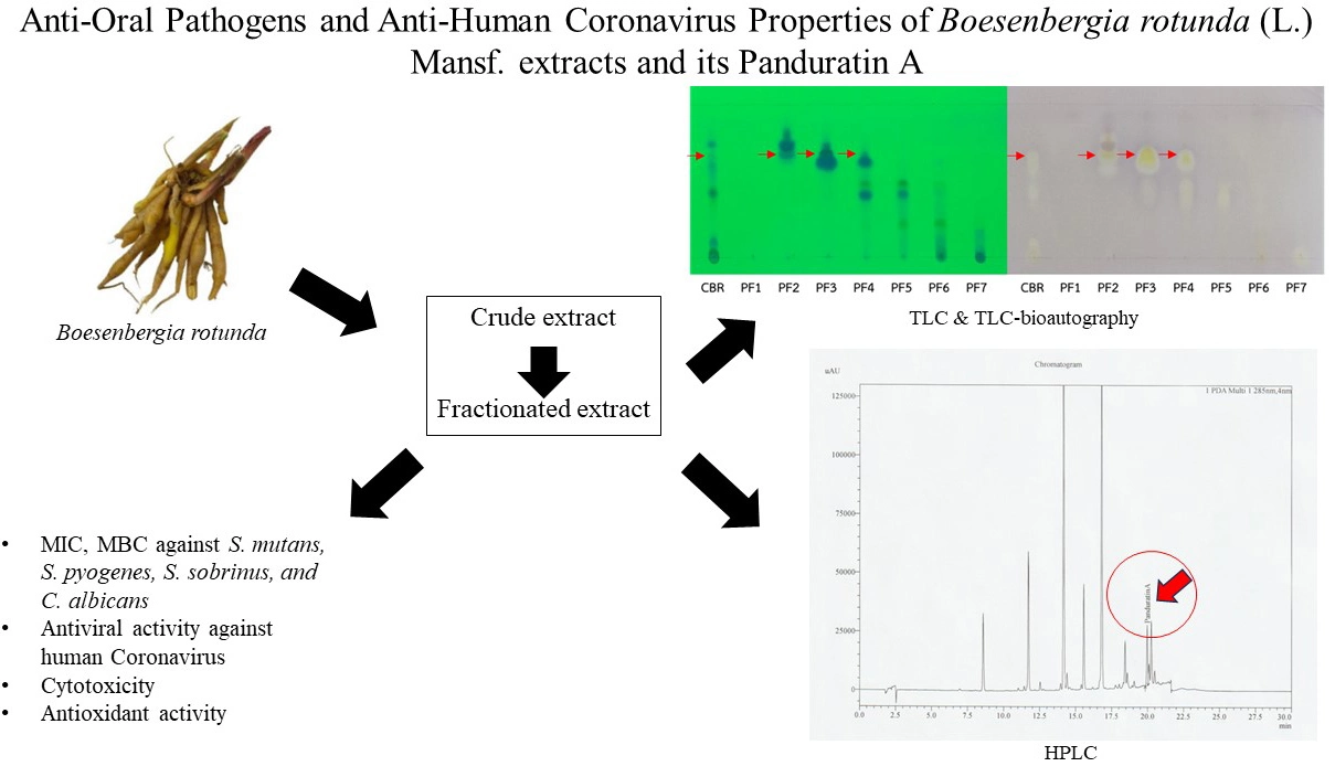 Graphical Abstract