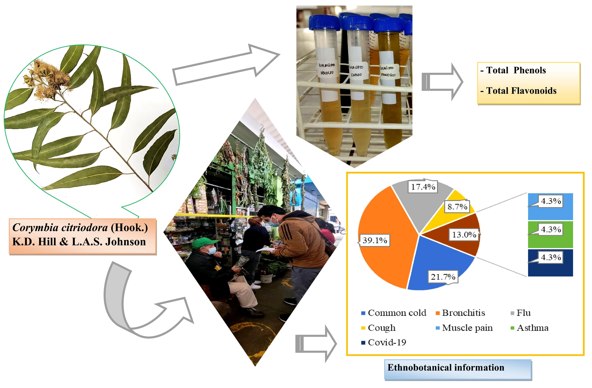 Graphical Abstract