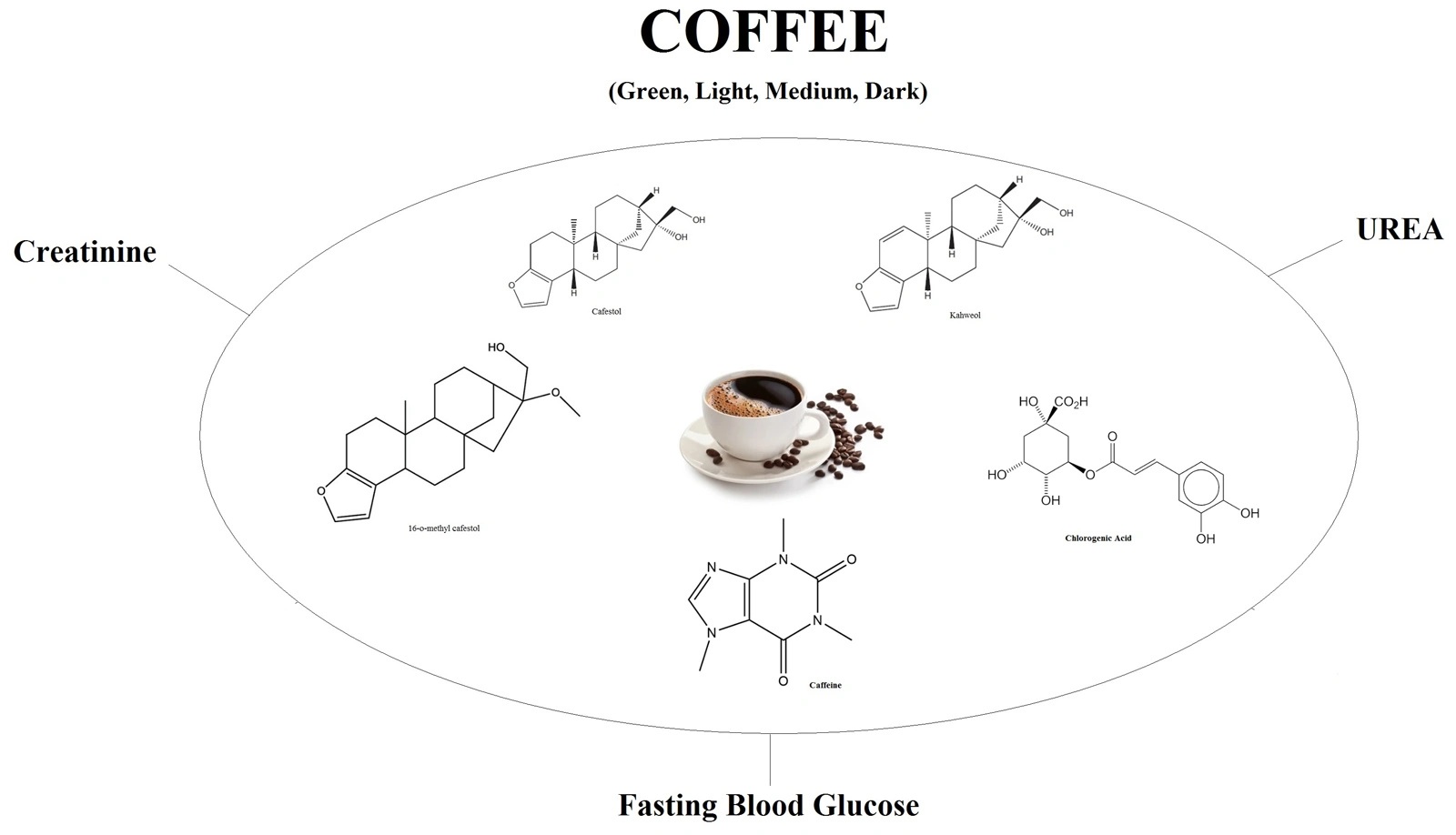 Graphical Abstract