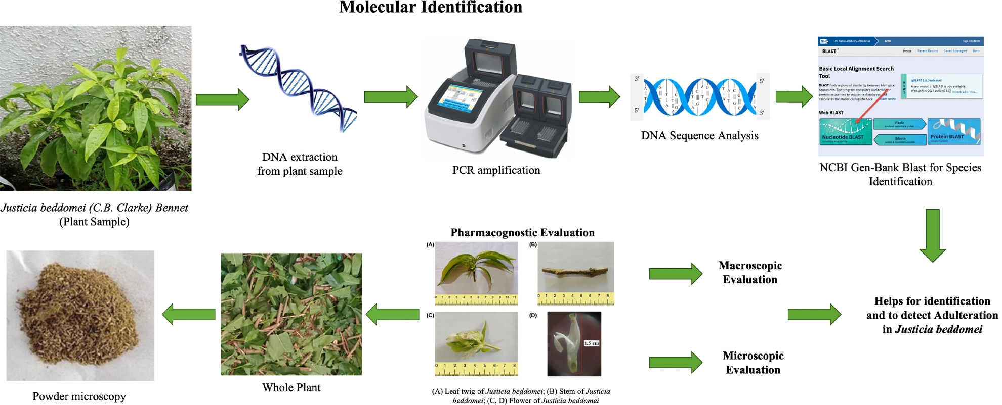 Graphical Abstract