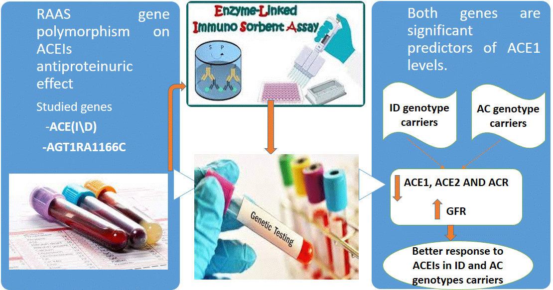 Graphical Abstract