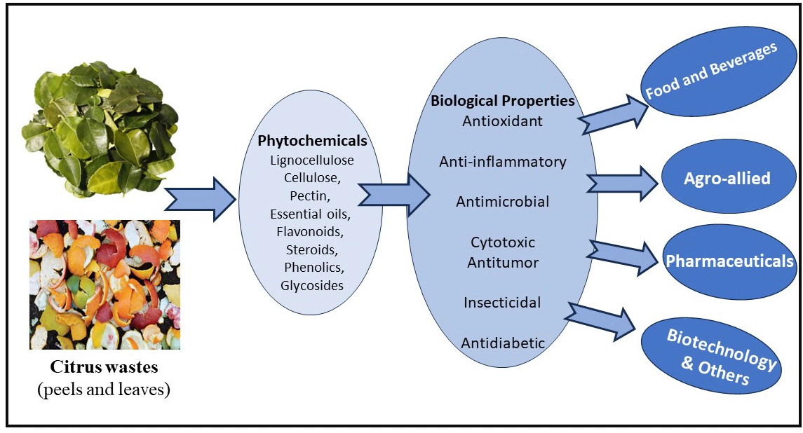 Graphical Abstract