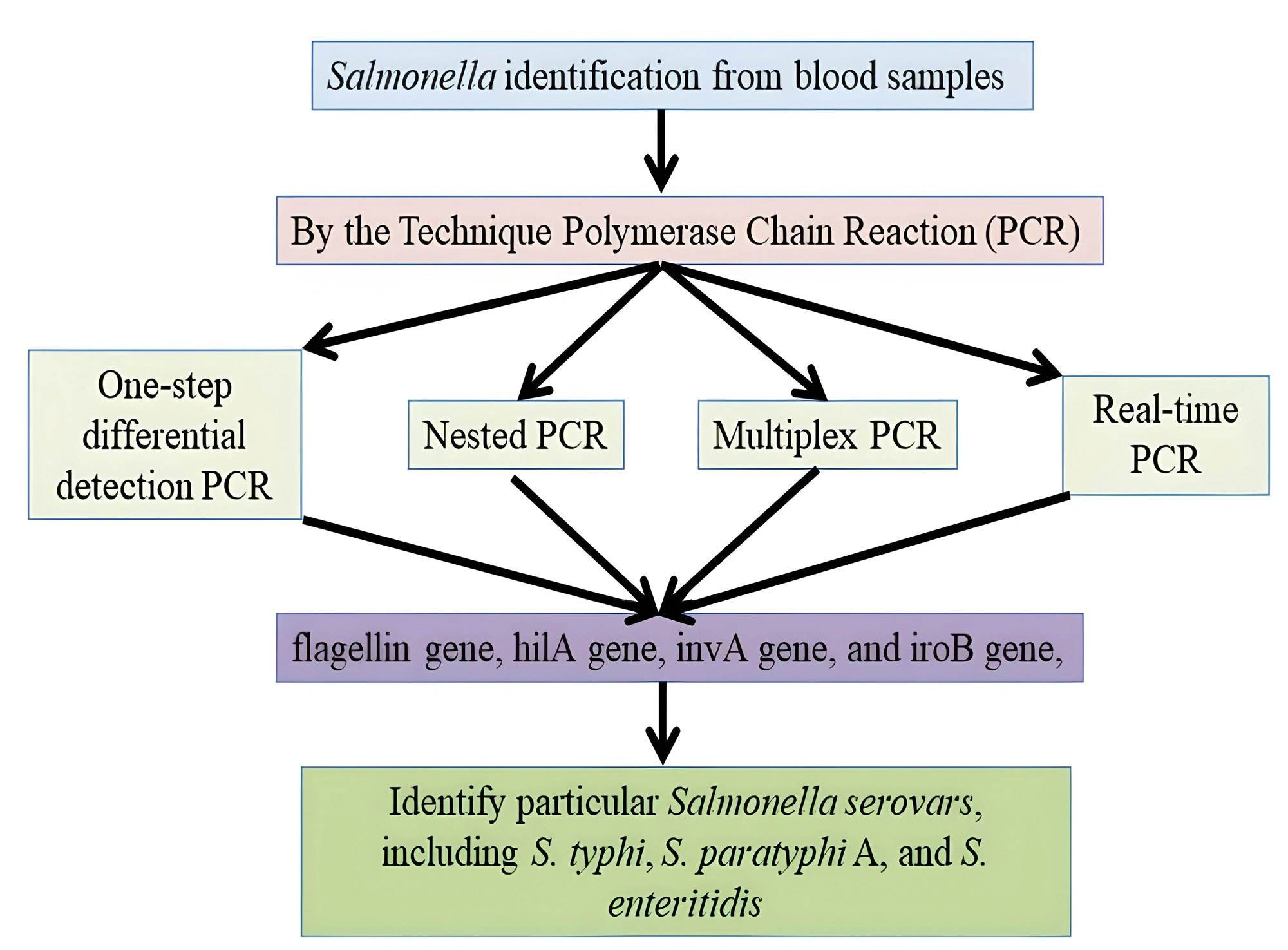 Graphical Abstract