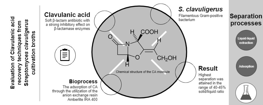Graphical Abstract