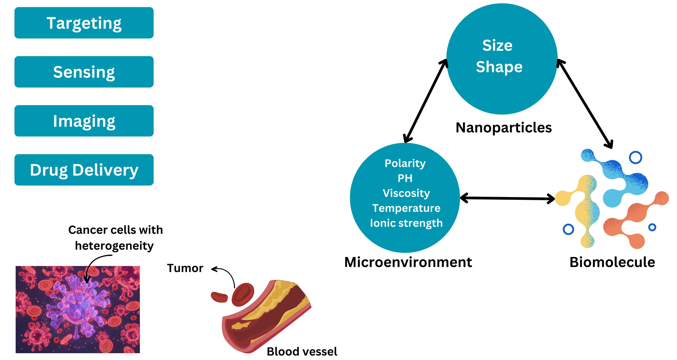 Graphical Abstract