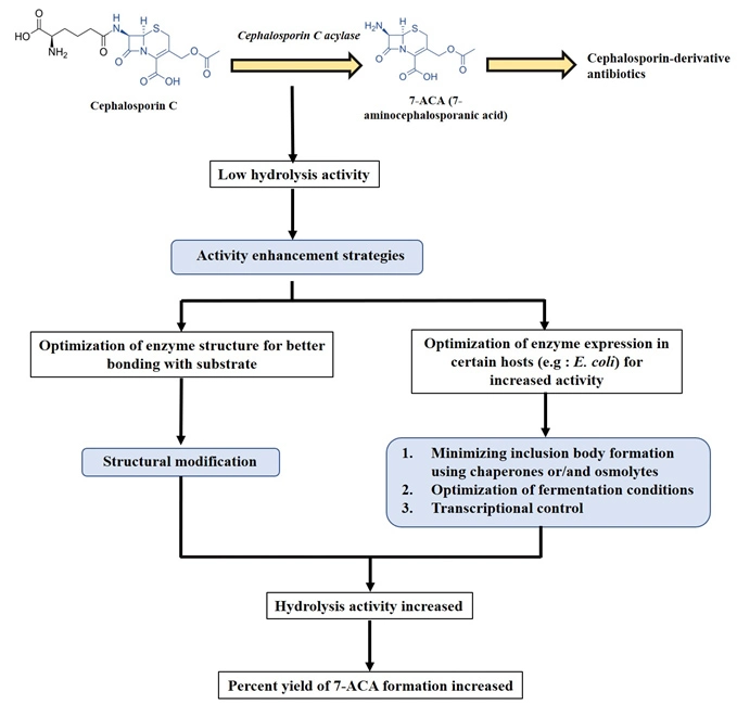 Graphical Abstract