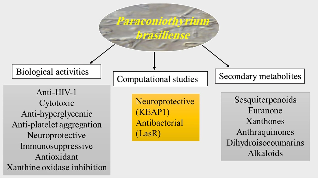 Graphical Abstract