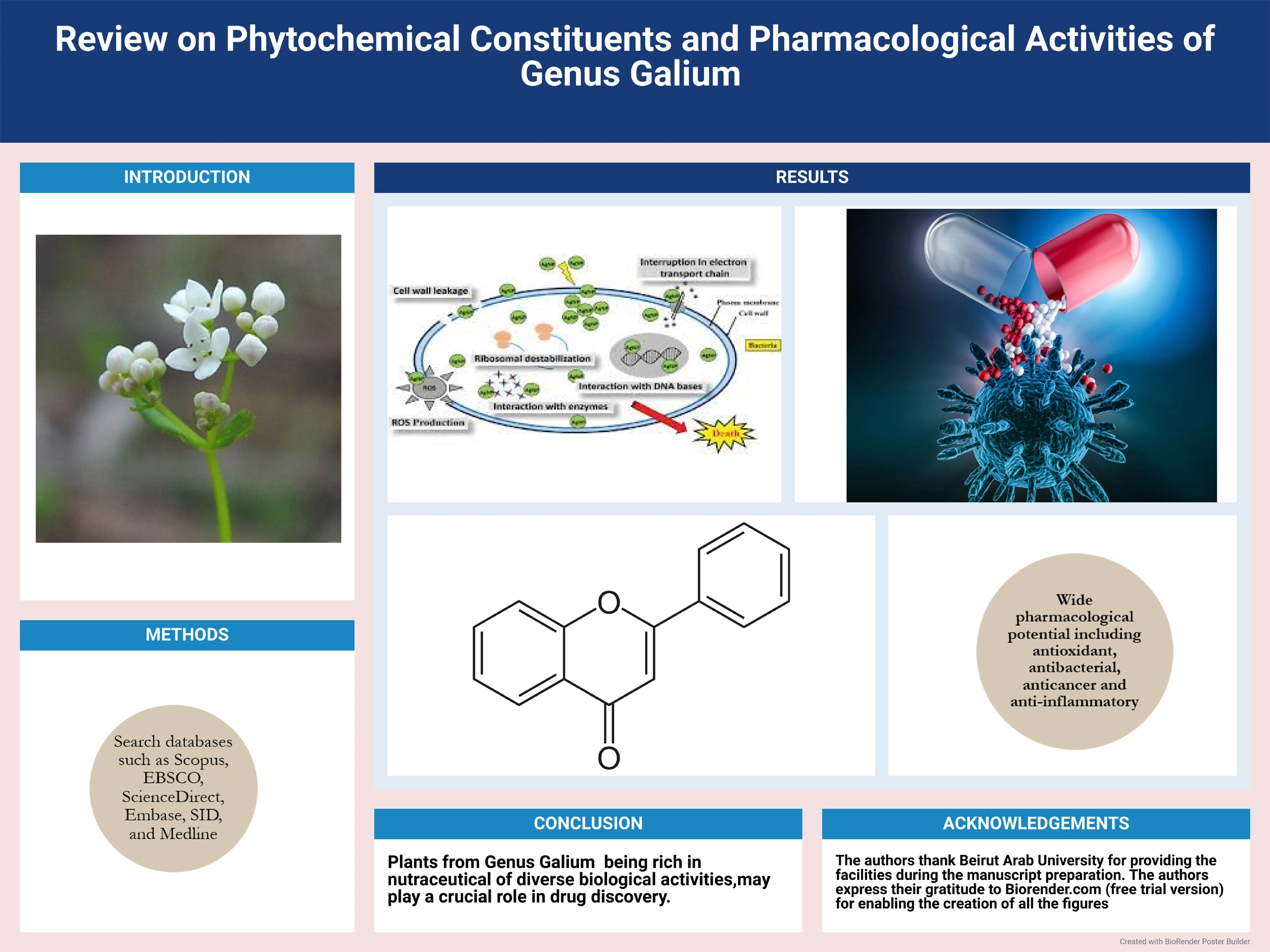Graphical Abstract