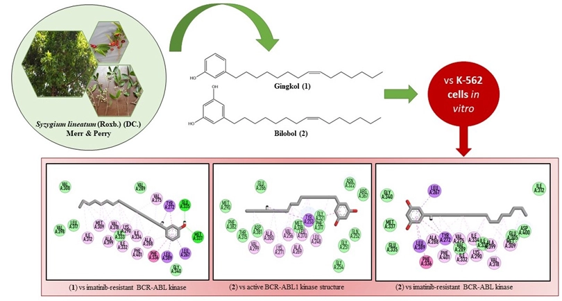Graphical Abstract