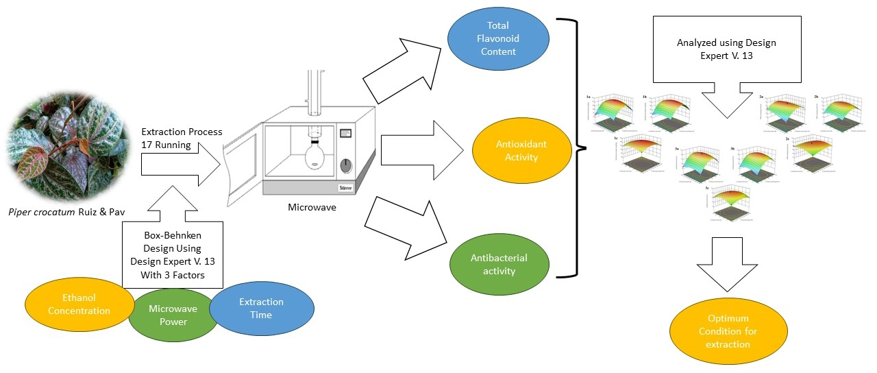 Graphical Abstract