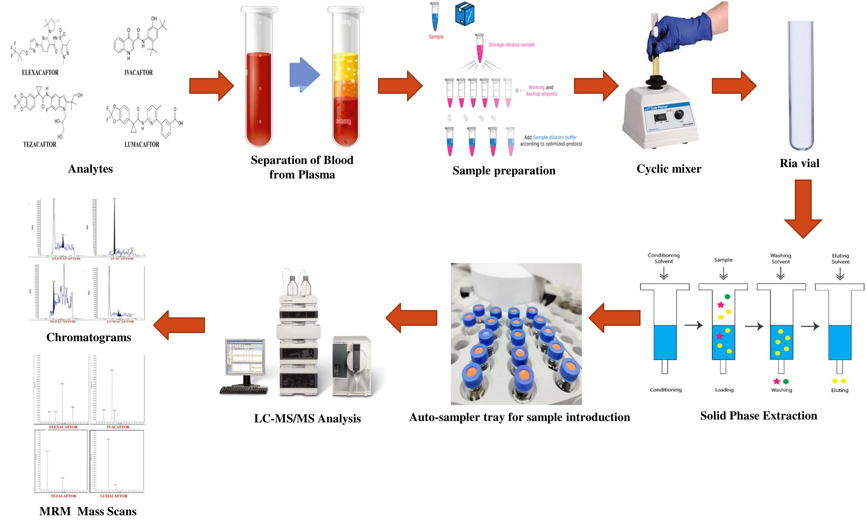 Graphical Abstract