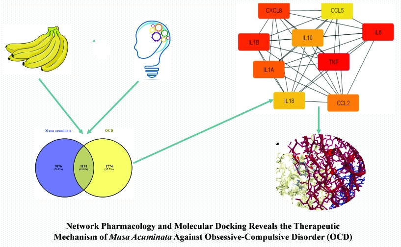 Graphical Abstract