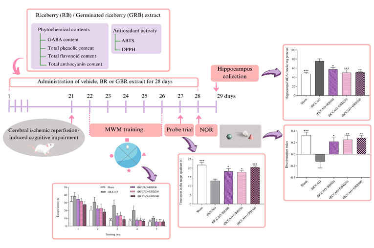 Graphical Abstract