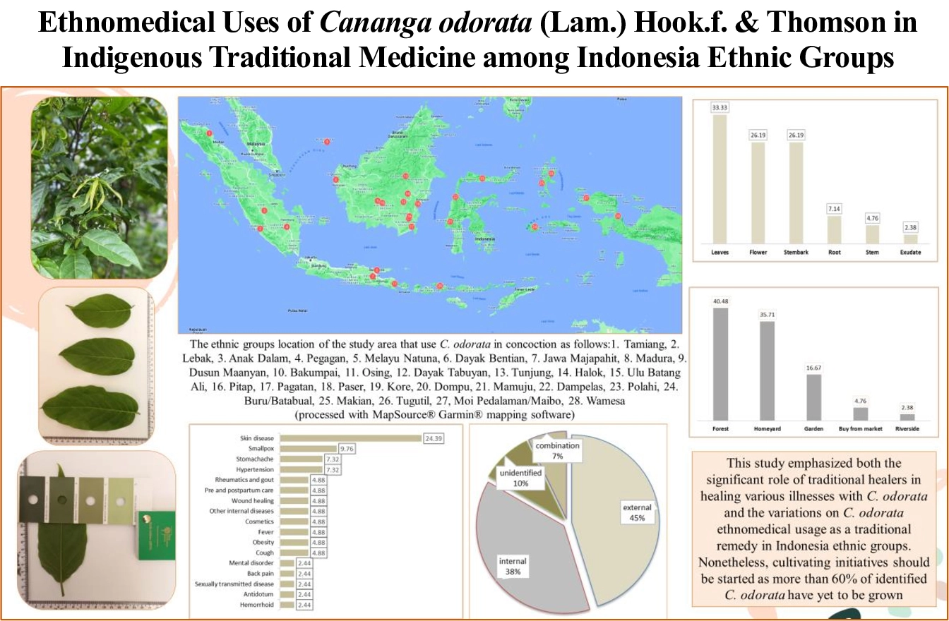Graphical Abstract