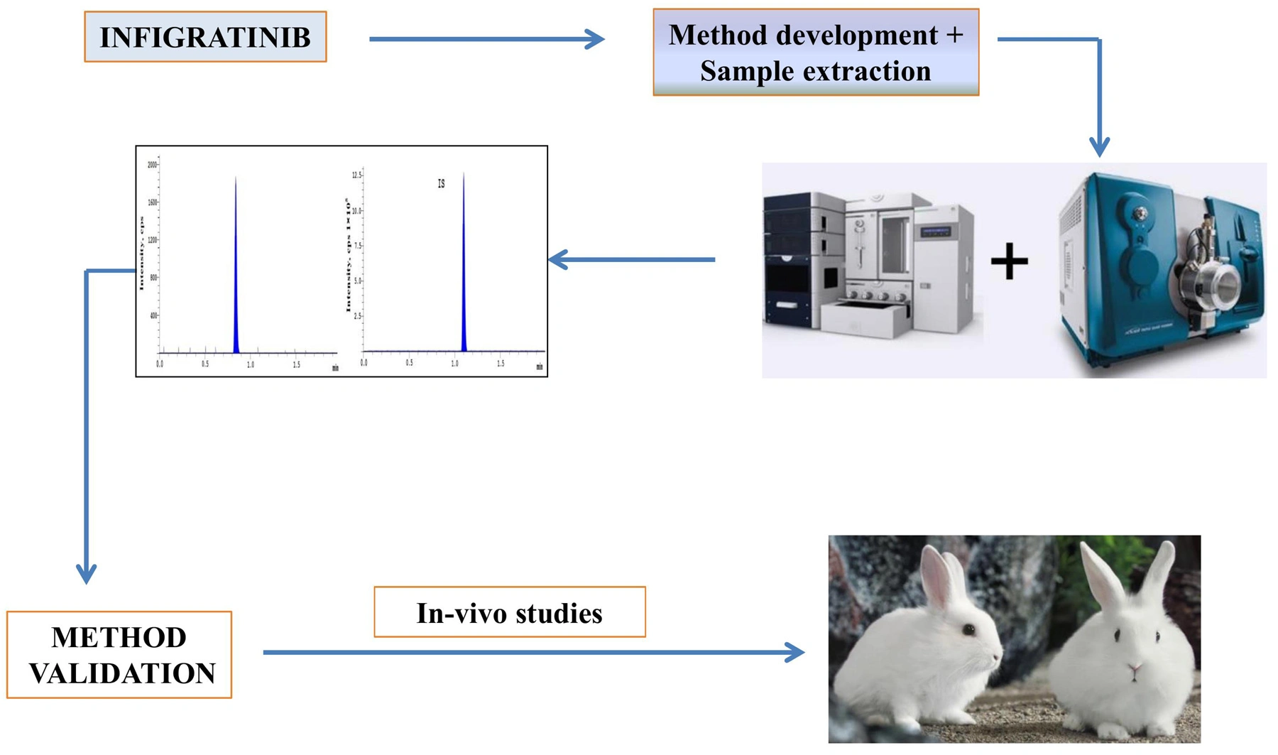 Graphical Abstract