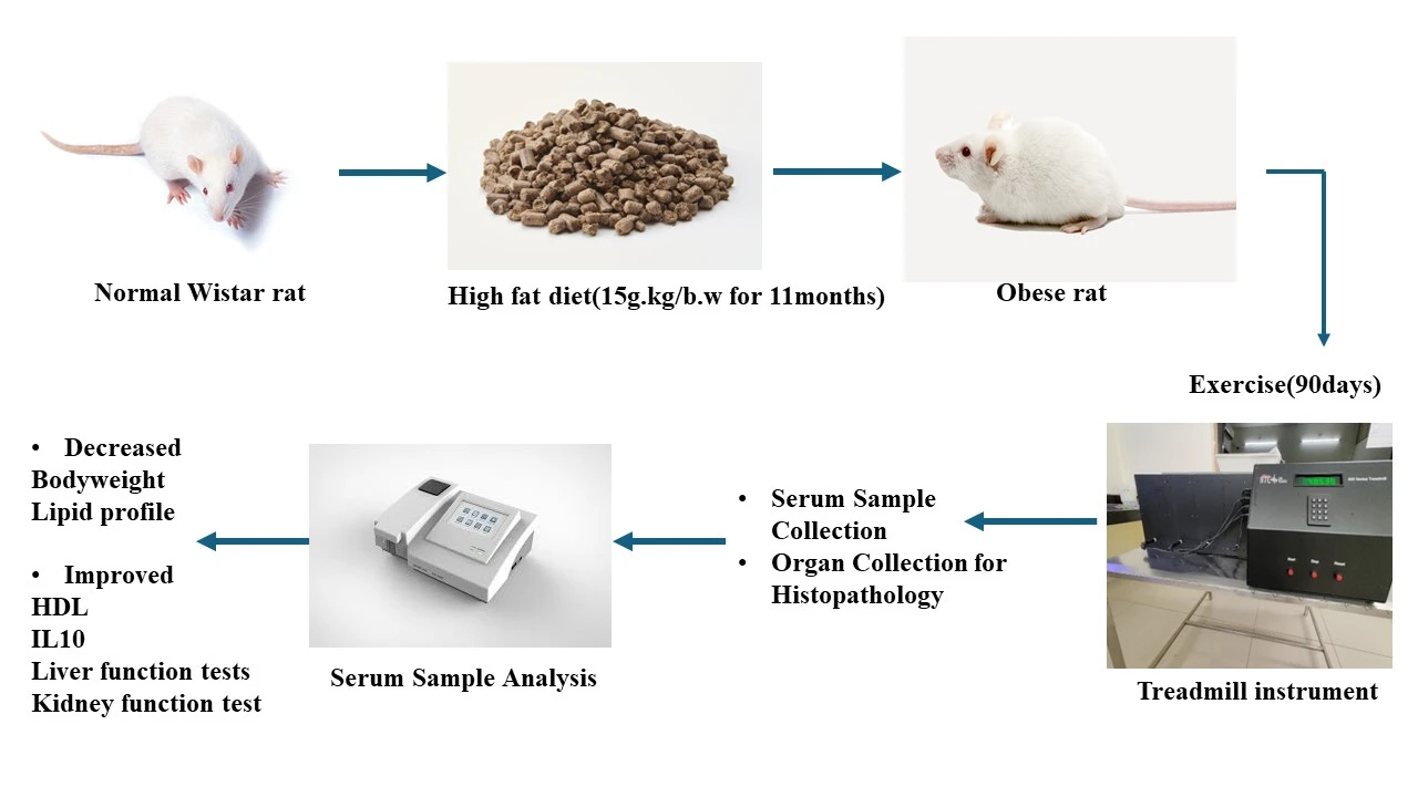 Graphical Abstract