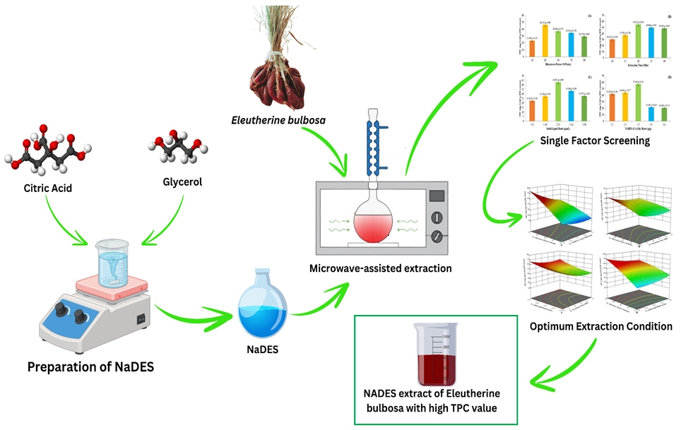 Graphical Abstract