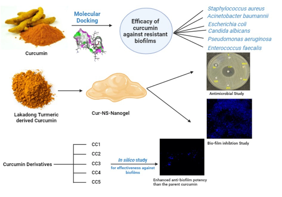 Graphical Abstract