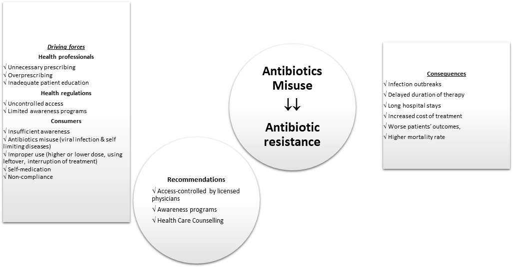 Graphical Abstract