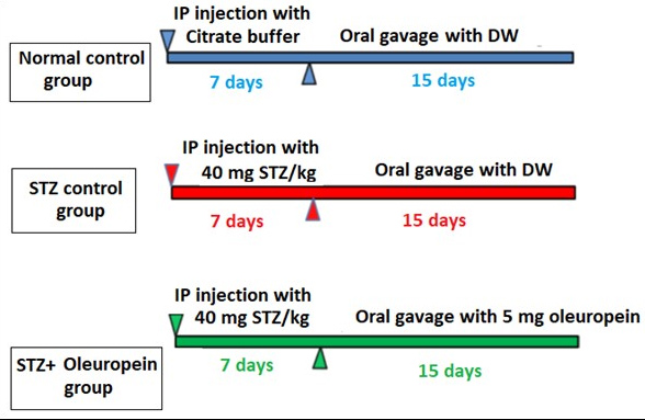 Graphical Abstract