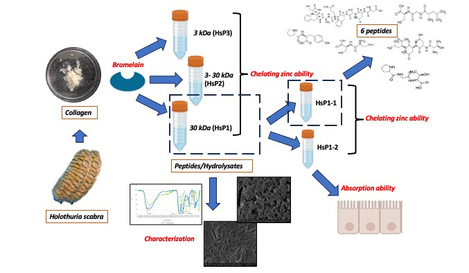 Graphical Abstract