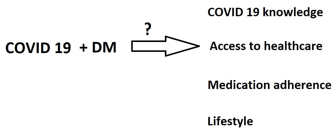 Graphical Abstract