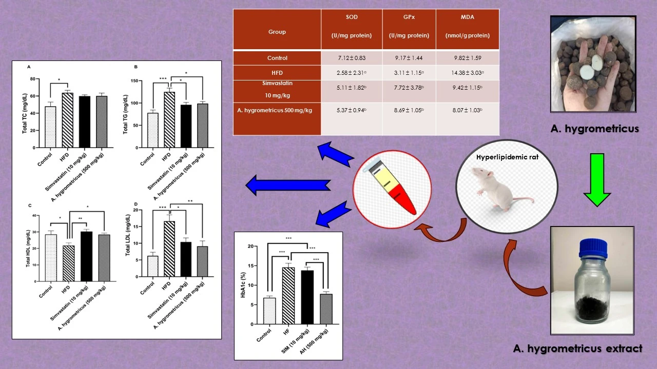 Graphical Abstract