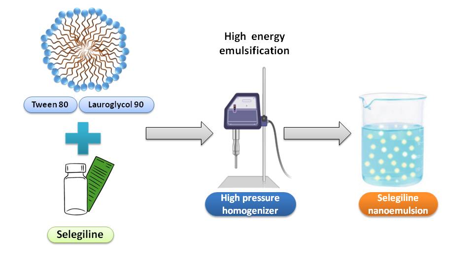 Graphical Abstract