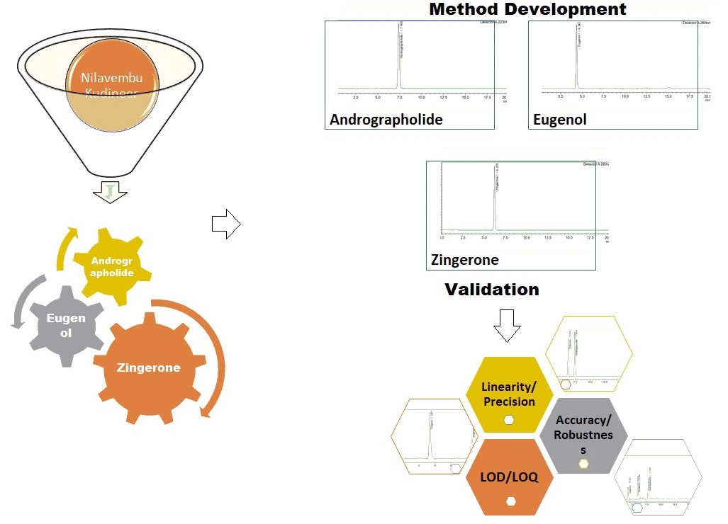 Graphical Abstract