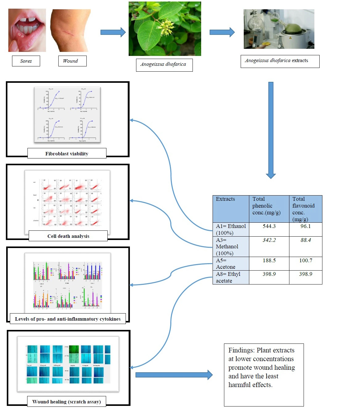 Graphical Abstract