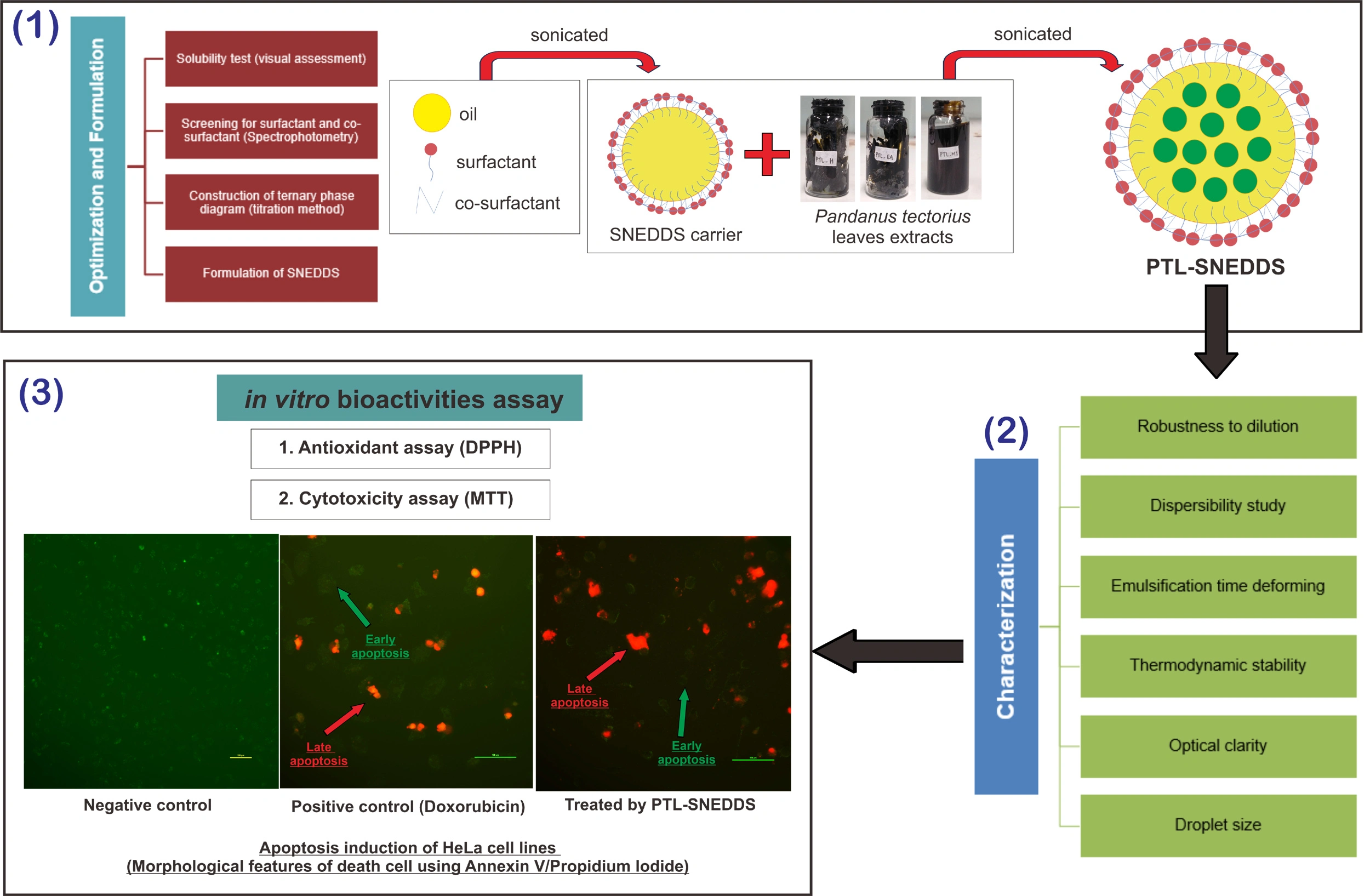 Graphical Abstract