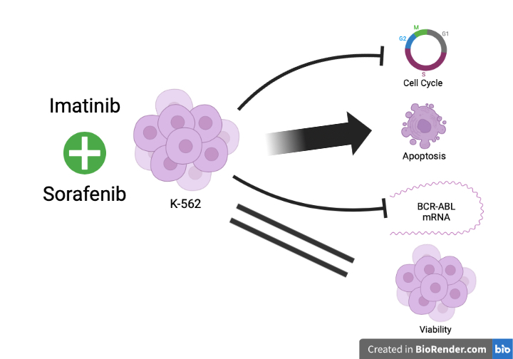Graphical Abstract