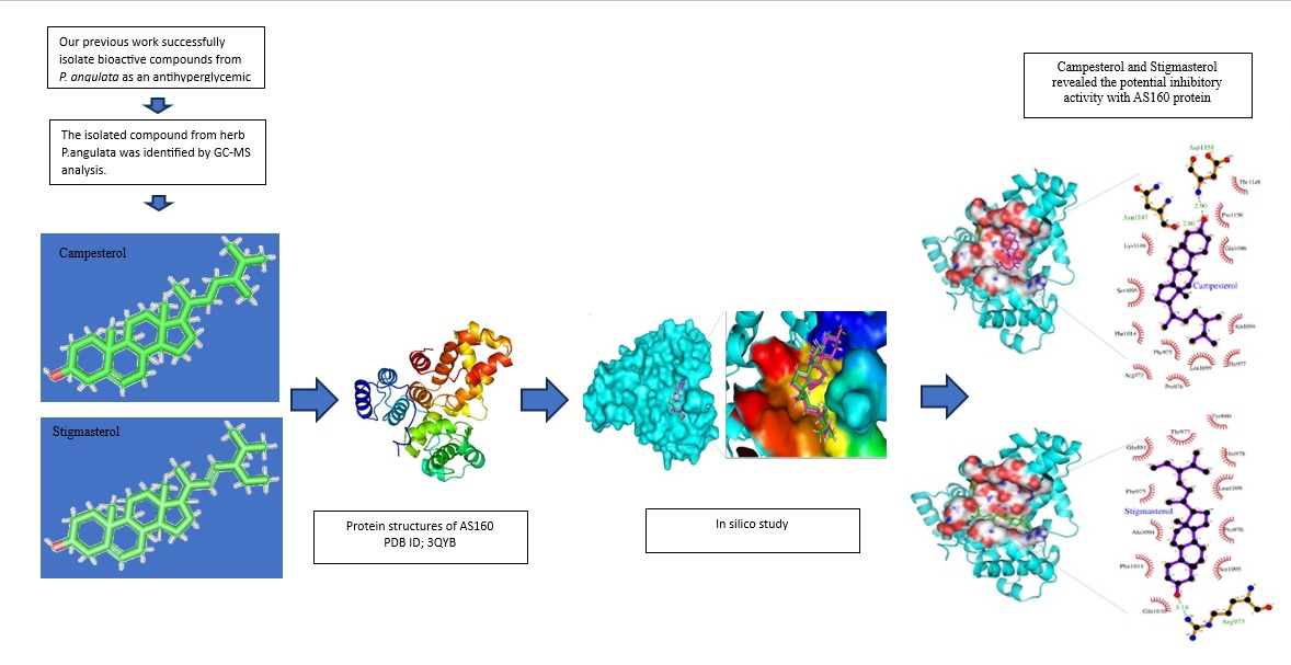 Graphical Abstract
