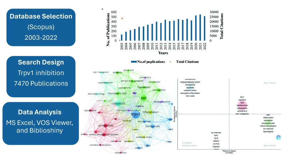 Graphical Abstract