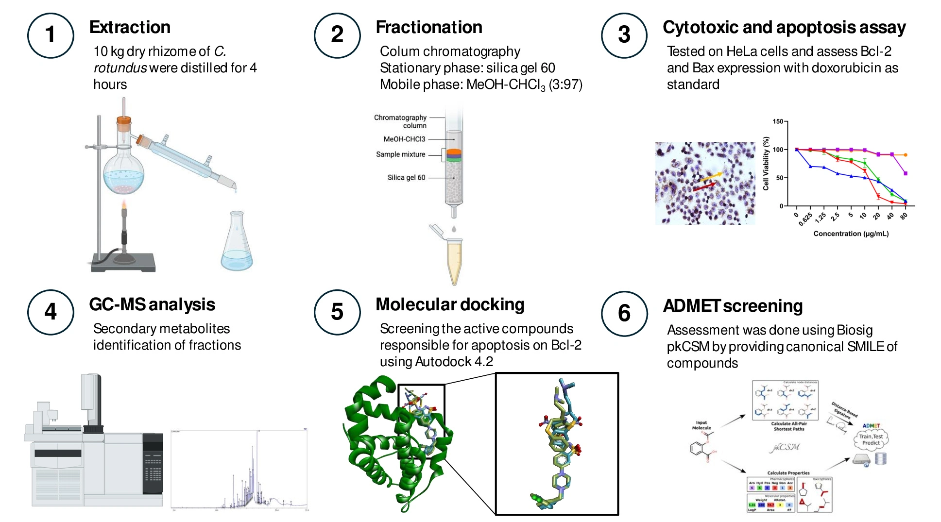 Graphical Abstract