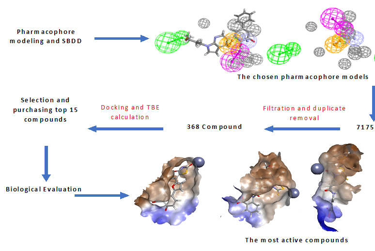 Graphical Abstract