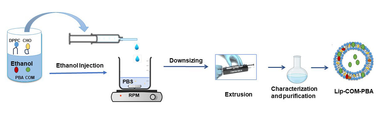Graphical Abstract