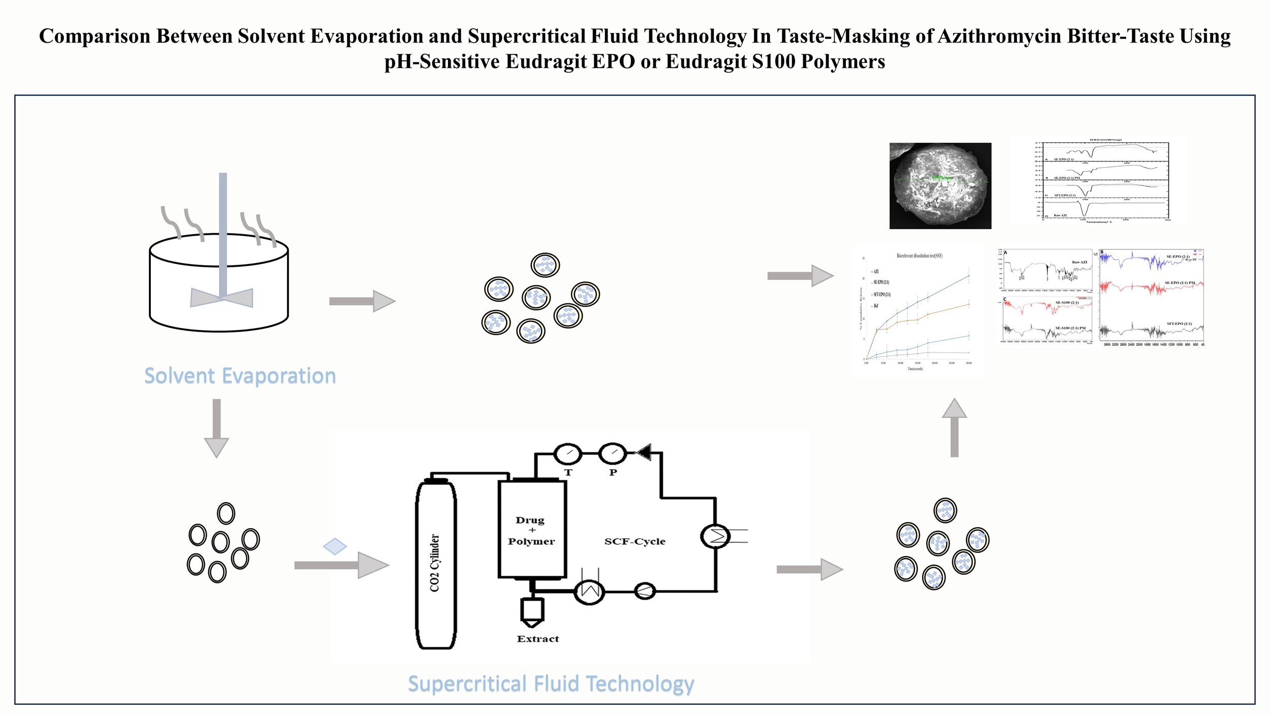 Graphical Abstract