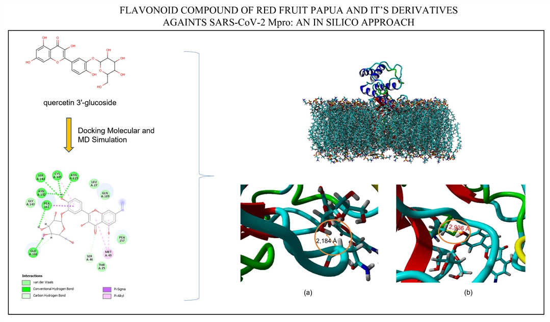 Graphical Abstract